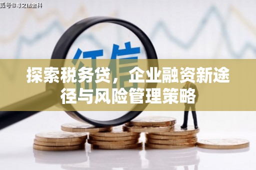 文峰探索税务贷，企业融资新途径与风险管理策略