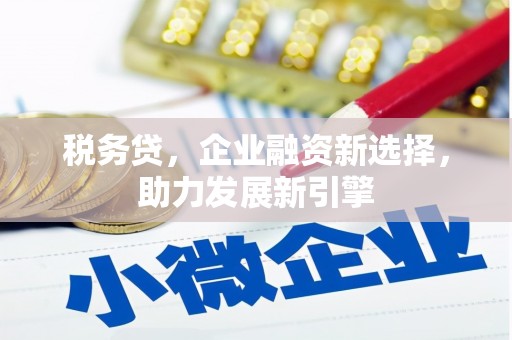 文峰税务贷，企业融资新选择，助力发展新引擎