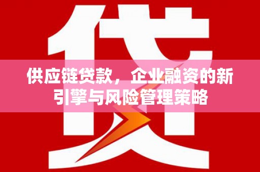 文峰供应链贷款，企业融资的新引擎与风险管理策略