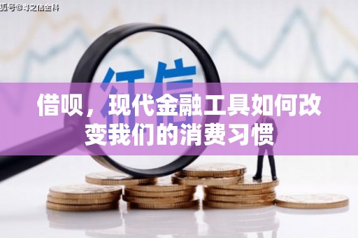 文峰借呗，现代金融工具如何改变我们的消费习惯