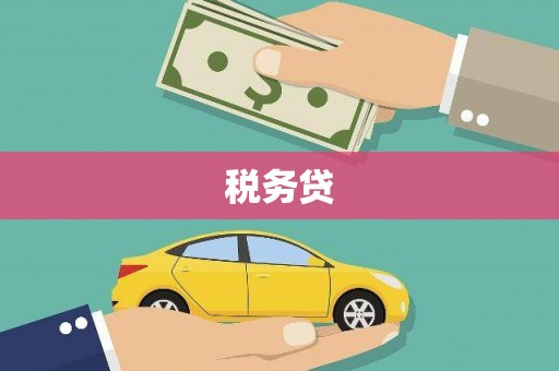 文峰税务贷