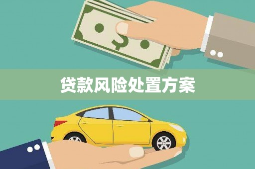 文峰贷款风险处置方案