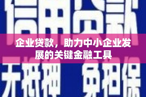 文峰企业贷款，助力中小企业发展的关键金融工具