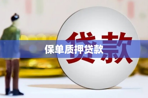 文峰保单质押贷款