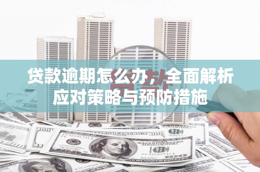 文峰贷款逾期怎么办，全面解析应对策略与预防措施