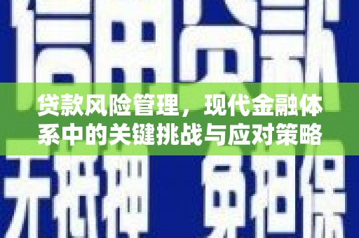 文峰贷款风险管理，现代金融体系中的关键挑战与应对策略