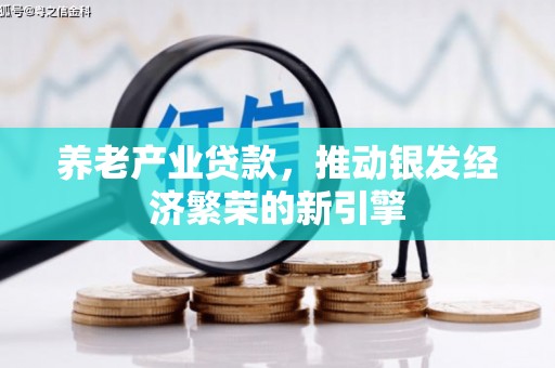 文峰养老产业贷款，推动银发经济繁荣的新引擎
