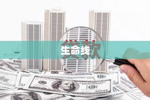 文峰生命线