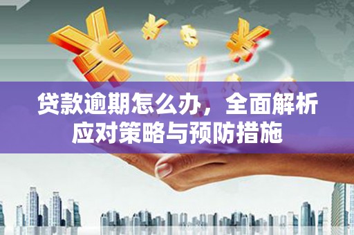 文峰贷款逾期怎么办，全面解析应对策略与预防措施