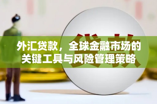 文峰外汇贷款，全球金融市场的关键工具与风险管理策略