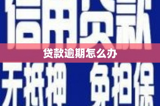 文峰贷款逾期怎么办