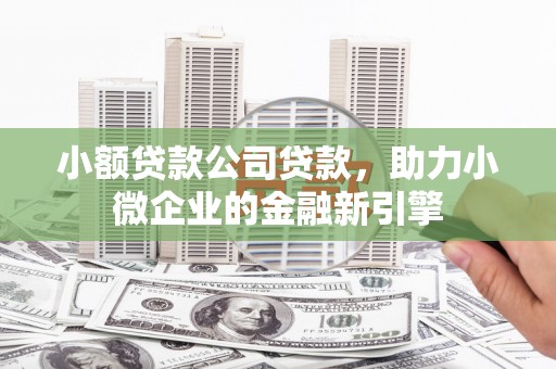 文峰小额贷款公司贷款，助力小微企业的金融新引擎