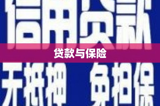 文峰贷款与保险