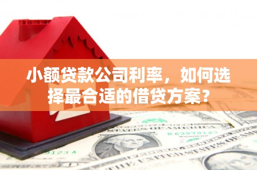 文峰小额贷款公司利率，如何选择最合适的借贷方案？