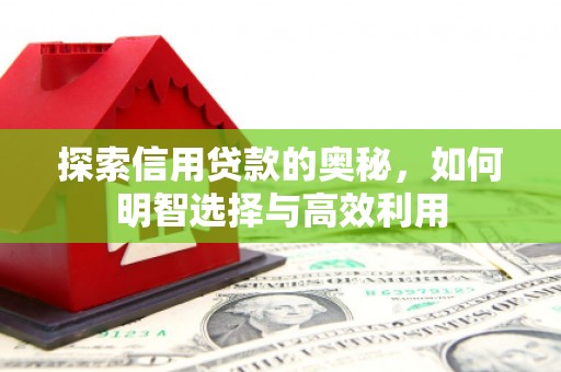 文峰探索信用贷款的奥秘，如何明智选择与高效利用