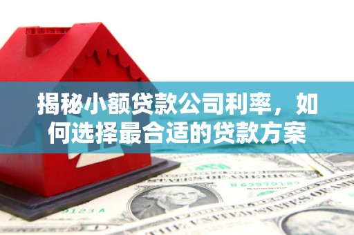 文峰揭秘小额贷款公司利率，如何选择最合适的贷款方案
