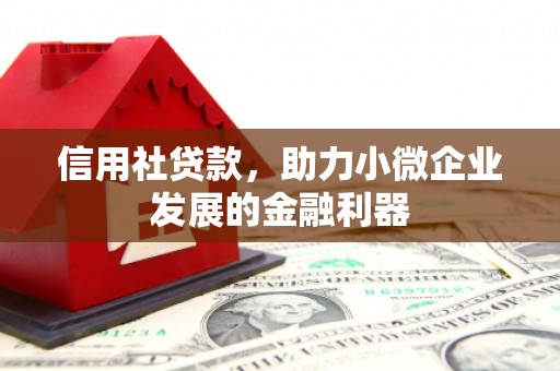 文峰信用社贷款，助力小微企业发展的金融利器