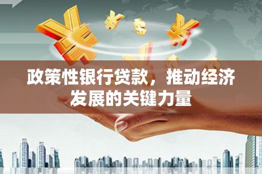 文峰政策性银行贷款，推动经济发展的关键力量