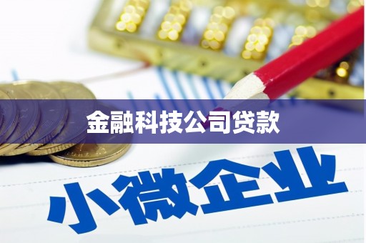 文峰金融科技公司贷款