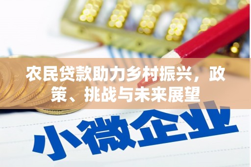 文峰农民贷款助力乡村振兴，政策、挑战与未来展望