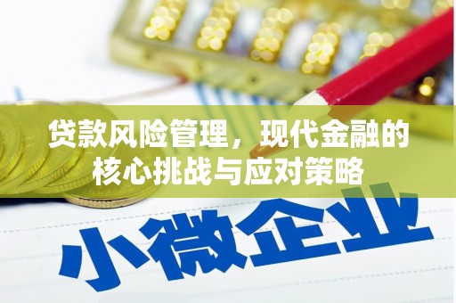 文峰贷款风险管理，现代金融的核心挑战与应对策略