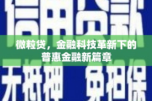 文峰微粒贷，金融科技革新下的普惠金融新篇章