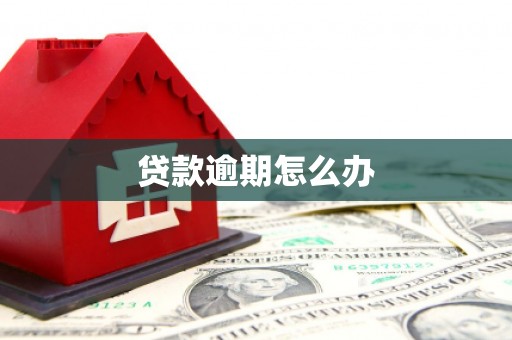 文峰贷款逾期怎么办