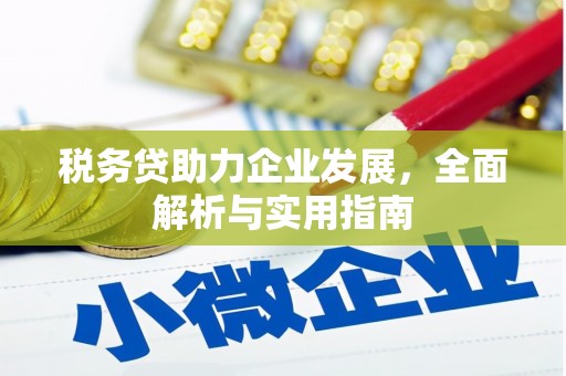 文峰税务贷助力企业发展，全面解析与实用指南