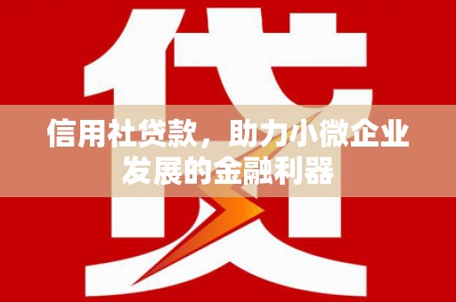 文峰信用社贷款，助力小微企业发展的金融利器