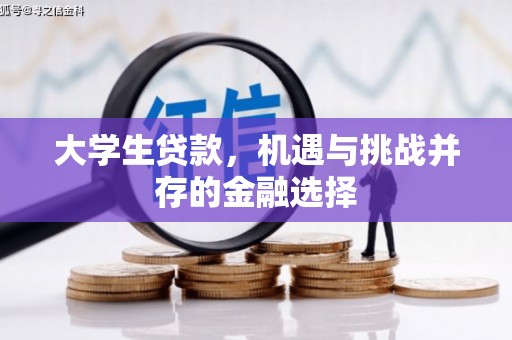 文峰大学生贷款，机遇与挑战并存的金融选择