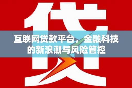 文峰互联网贷款平台，金融科技的新浪潮与风险管控
