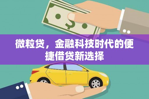 文峰微粒贷，金融科技时代的便捷借贷新选择