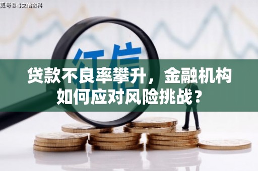 文峰贷款不良率攀升，金融机构如何应对风险挑战？