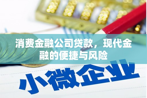 文峰消费金融公司贷款，现代金融的便捷与风险