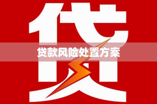 文峰贷款风险处置方案