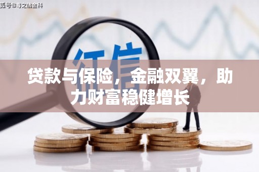 文峰贷款与保险，金融双翼，助力财富稳健增长