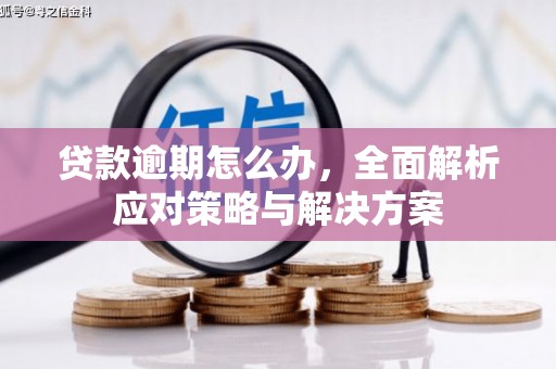 文峰贷款逾期怎么办，全面解析应对策略与解决方案