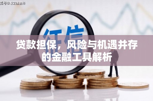 文峰贷款担保，风险与机遇并存的金融工具解析
