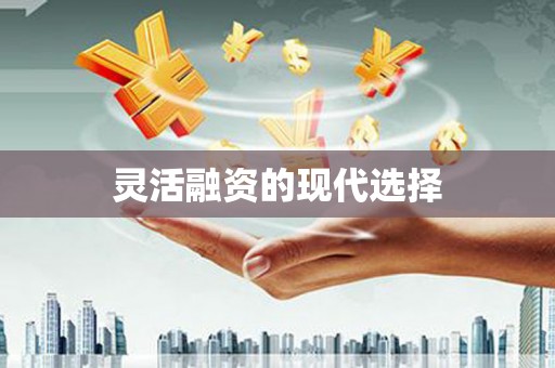 文峰灵活融资的现代选择