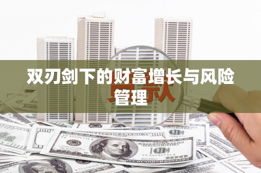 文峰双刃剑下的财富增长与风险管理