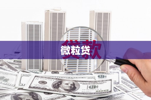 文峰微粒贷