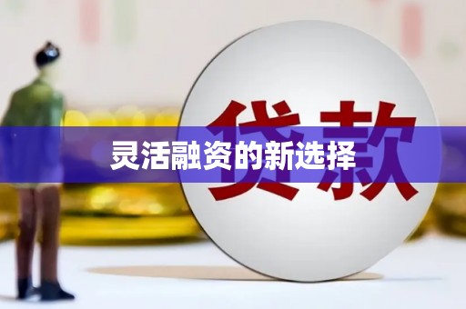 文峰灵活融资的新选择