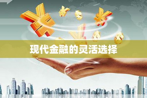 文峰现代金融的灵活选择