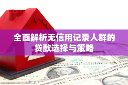 文峰全面解析无信用记录人群的贷款选择与策略