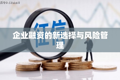 文峰企业融资的新选择与风险管理