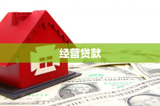 文峰经营贷款