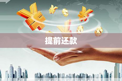 文峰提前还款