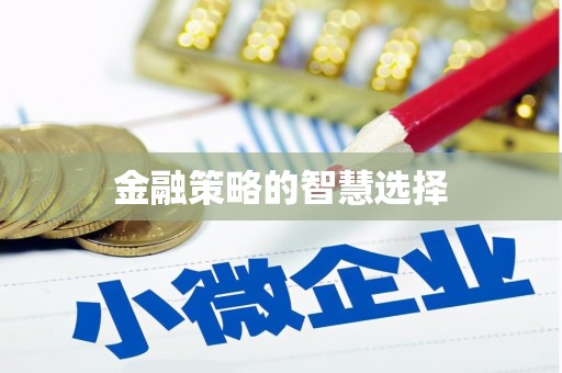 文峰金融策略的智慧选择