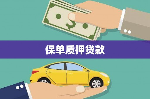 文峰保单质押贷款