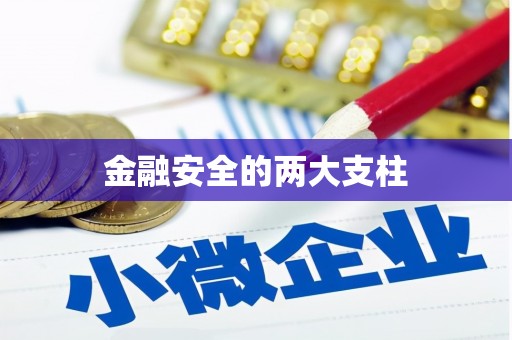 文峰金融安全的两大支柱